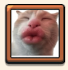 Screenshot 2569 05 30 at 16.19.04.png