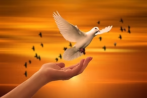 Reiki Healing Stanmore | Stanmore Health Essentials.png