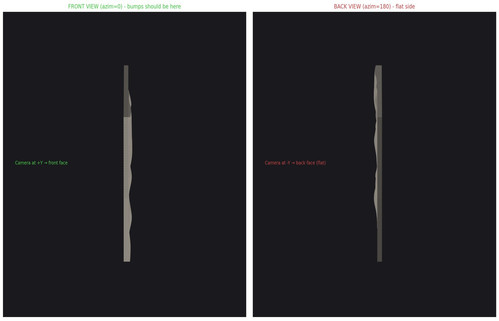front vs back.jpg