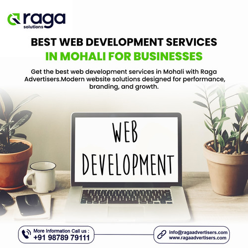 Best Web Development Services in Mohali.jpg