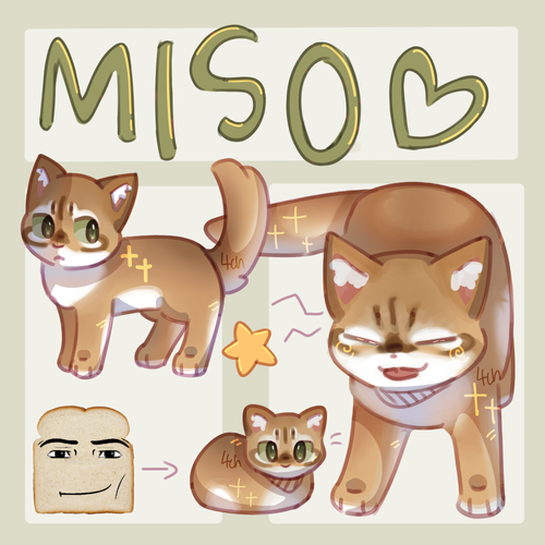 IMG 4057.png