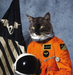 1af81414c302.png