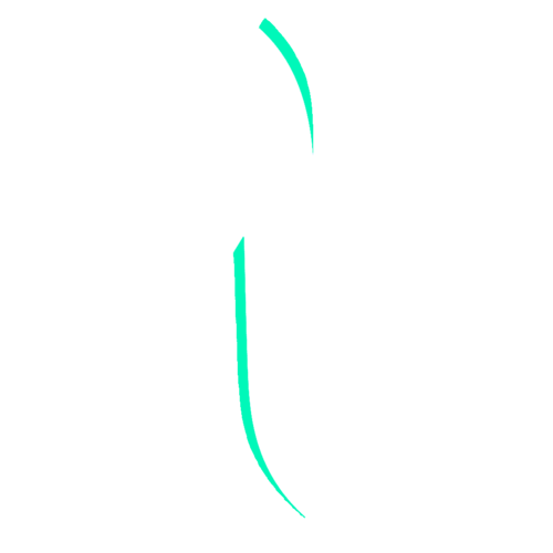 nteam.png