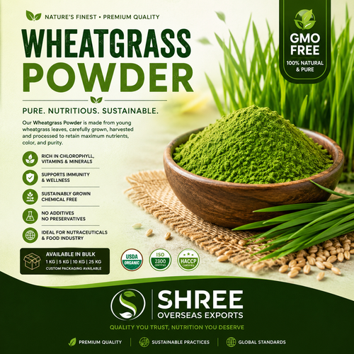 Organic Wheatgrass Powder Manufacturer A Complete Guide for Global Brands and Ingredient Buyers.png