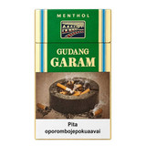 Cigarro Gudang Garam Menta Nacional (2) (1)