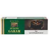 Cigarro Gudang Garam Menta Nacional Display C10 Maços (2)
