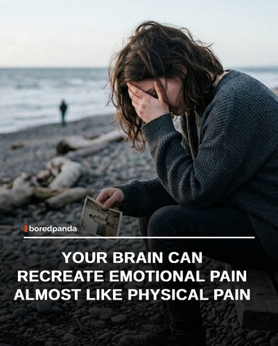 img facts (4).jpg