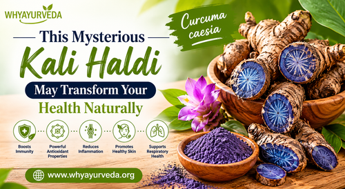 Kali Haldi Unlock Ayurveda's Benefits.png