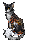 16169.png