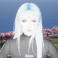 7ca1305f113c.png