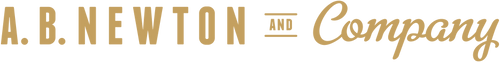 A B Newton logo