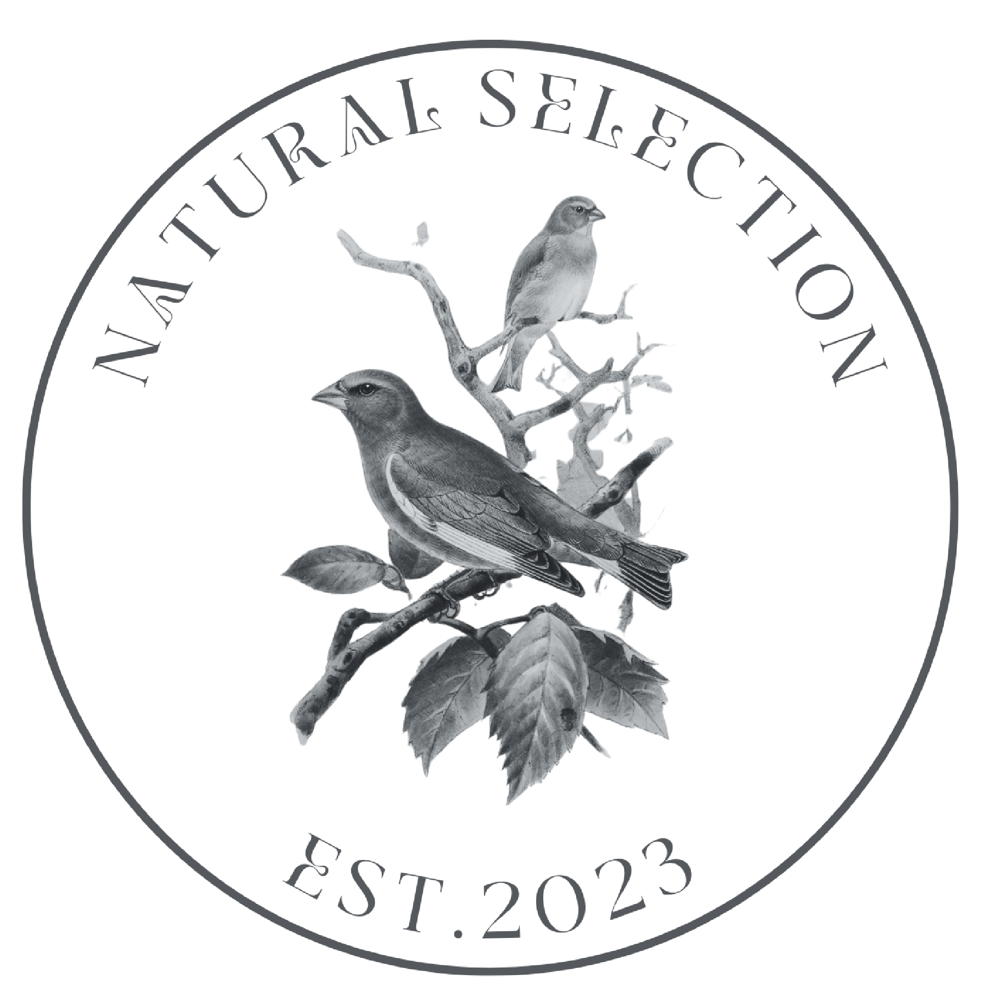 Natural Selection Ny logo