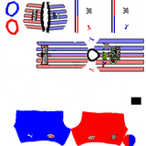 WWE Fluminense 2026 Home 2Cv2