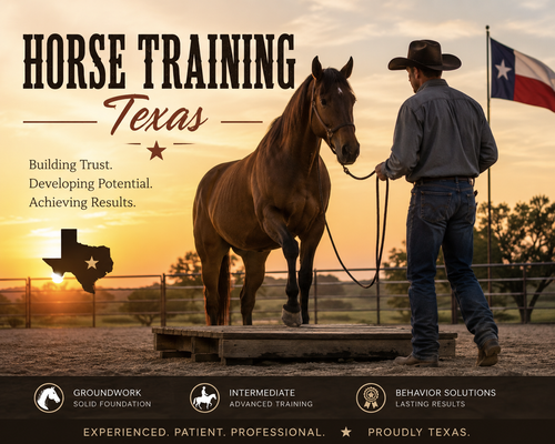 Horse Training Texas | Professional Horsemanship & Equine Training Services.png