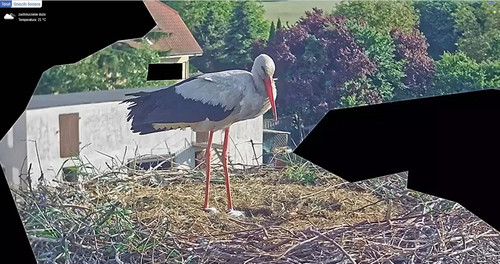 MWSnap273.jpg