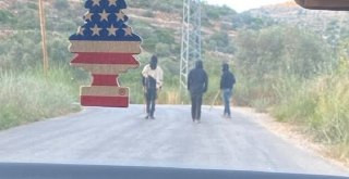 صورة الخبر