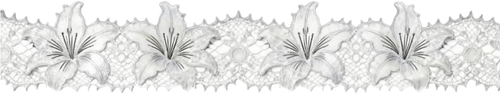 retouch 2026053113043538.png