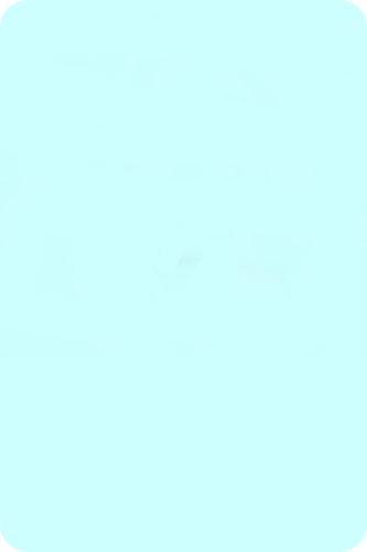 520x780 TLO.png