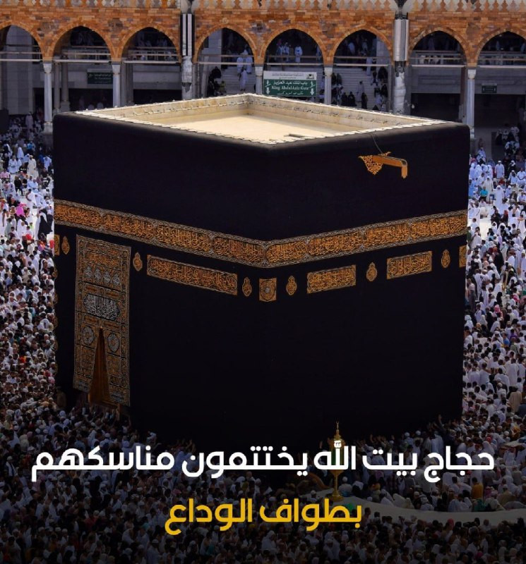صورة الخبر