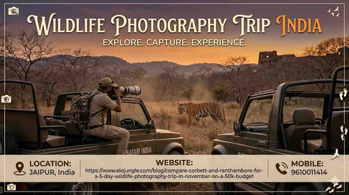 Wildlife-photography-trip-India.jpg