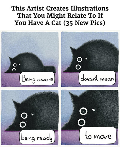 cat illustrations luis coelho part 4.jpg