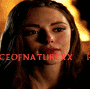 12.gif
