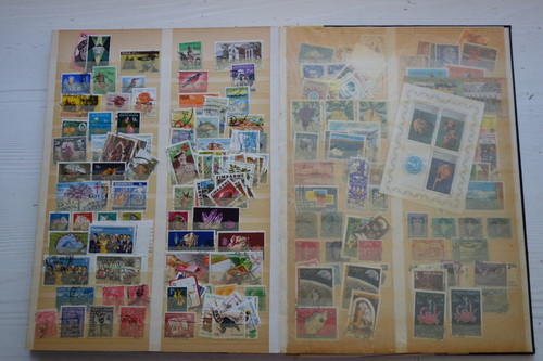 DSC08529 (Kopírovat).jpg
