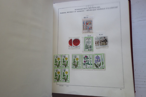 DSC08387 (Kopírovat).jpg
