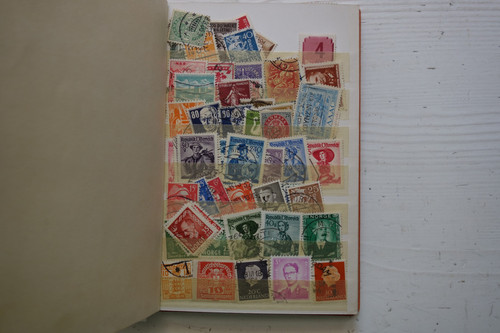 DSC08801 (Kopírovat).jpg