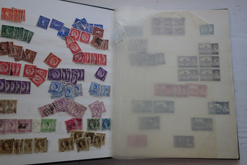 DSC08482 (Kopírovat).jpg