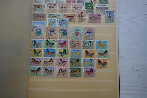 DSC08476 (Kopírovat).jpg