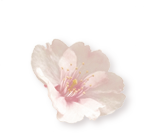 mmexport1786196732531.png