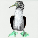 022443e801a9.png