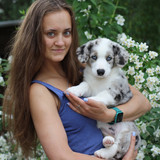 photo 0