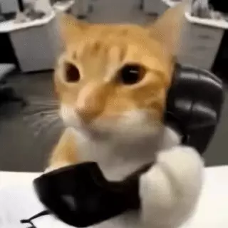 file.webp