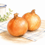 40. たまねぎ — bawang bombai