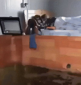 C44jopn.gif
