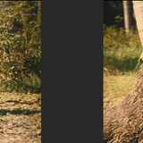 Rambo First Blood Part II (1985) 4320p HDR Ai Upscale Screenshot7 Mesc