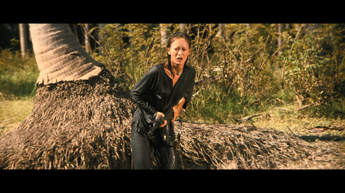 Rambo First Blood Part II (1985) 4320p HDR Ai Upscale Screenshot8 Mesc.png