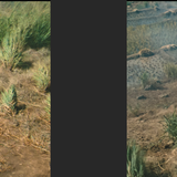 Rambo First Blood Part II (1985) 4320p HDR Ai Upscale Screenshot3 Mesc