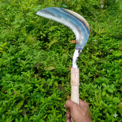 image 351a9c14.png