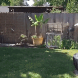 daily gifdump 3298 27.gif