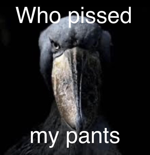 pissed.jpg