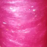 tumblr pllgfdkxF81x34gq1o7 250.webp