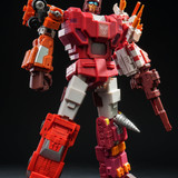 y55 (8)