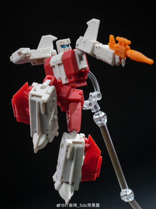 y55 (17).jpg