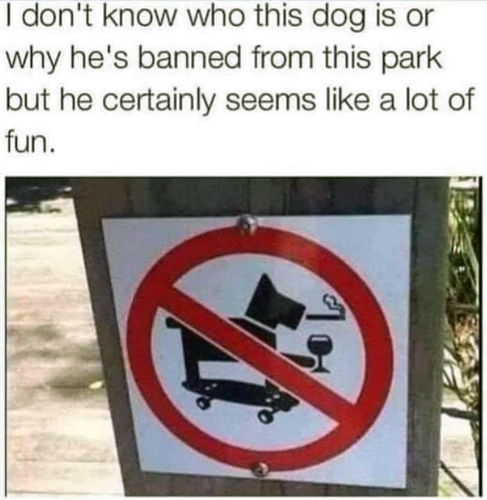 2026 08 08 200600.png