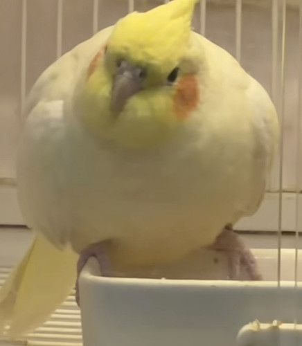 43b34958 5b73 4039 9f4f 02119b3c0c6b.jpg