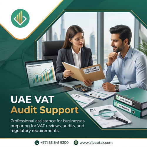 uae vat audit support.png