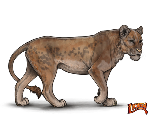 lioden wardrobe (1).png